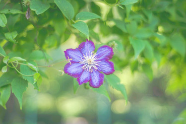 Similar image 22018464