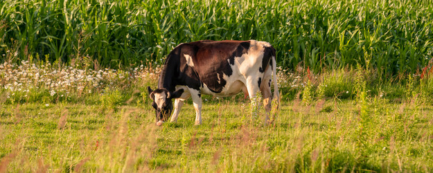 Similar image 22018465