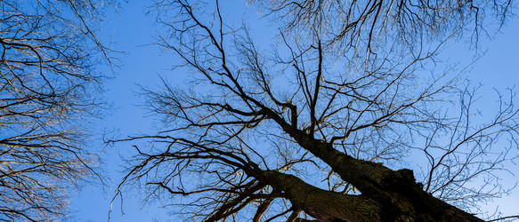 Similar image 22018466