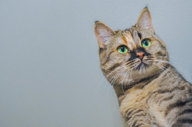 Similar image 22018472