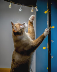 Similar image 22018475