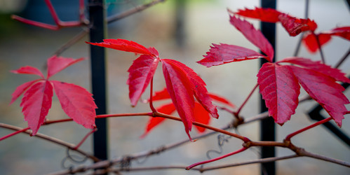 Similar image 22018479