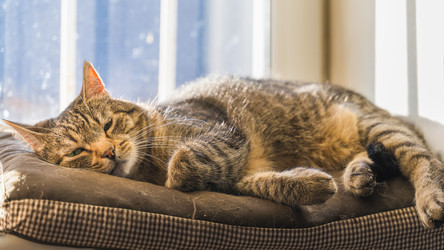 Similar image 22018485