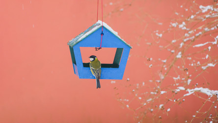 Similar image 22018499