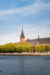 Similar image 22018500