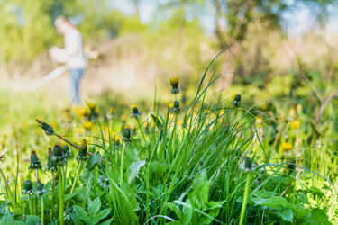 Similar image 22018505