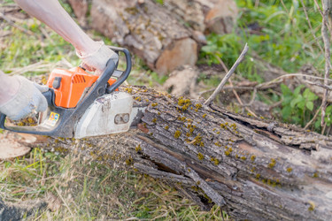 Similar image 22018506