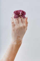 Similar image 22000077