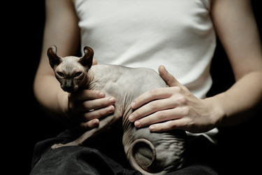 Similar image 22033421