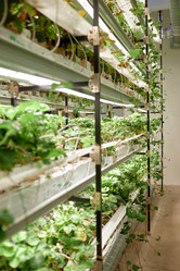 Similar image 22033708