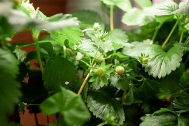 Similar image 22033713