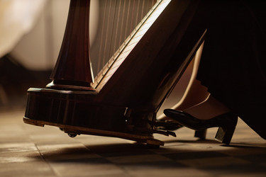 Similar image 22033587