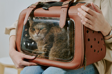 Similar image 22036203