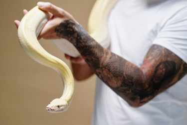 Similar image 22034967