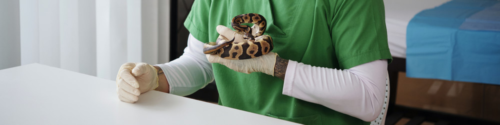 Similar image 22034941