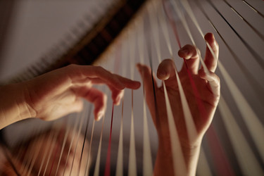 Similar image 22033589