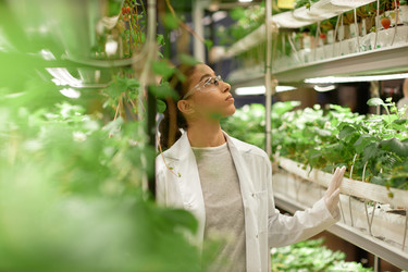 Similar image 22033736