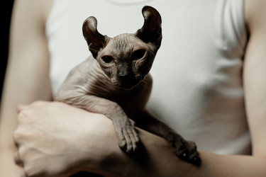 Similar image 22033332