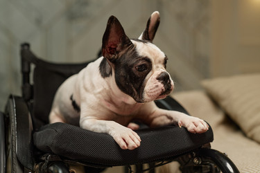 Similar image 22033312