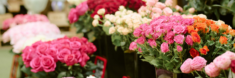 Similar image 22035915