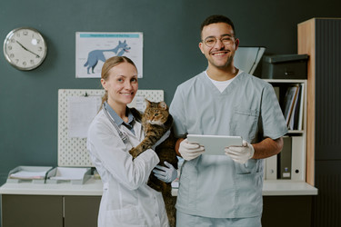 Similar image 22036243