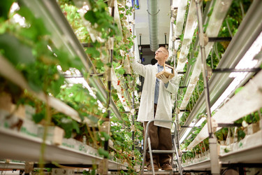 Similar image 22033773