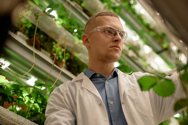 Similar image 22033778