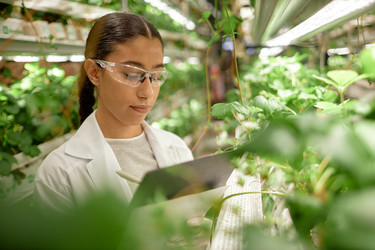 Similar image 22033768