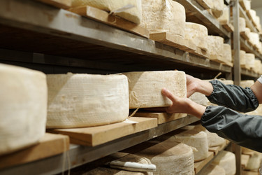 Similar image 22034355