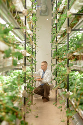 Similar image 22033782