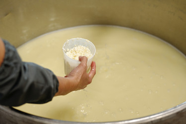 Similar image 22034331