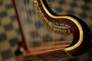 Similar image 22033523