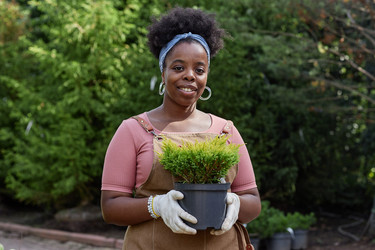 Similar image 22033002