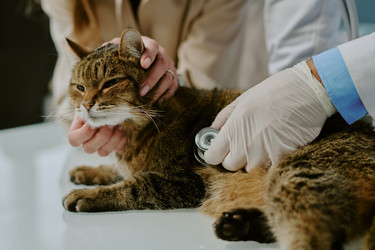 Similar image 22036179