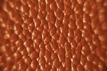 Similar image 22033681