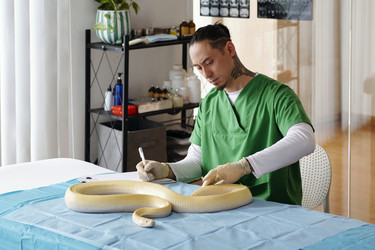 Similar image 22035011