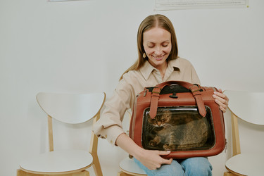 Similar image 22036199