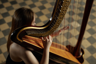 Similar image 22033550