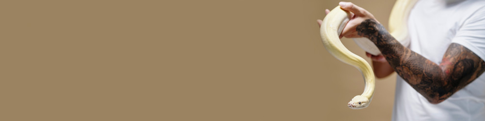 Similar image 22034946