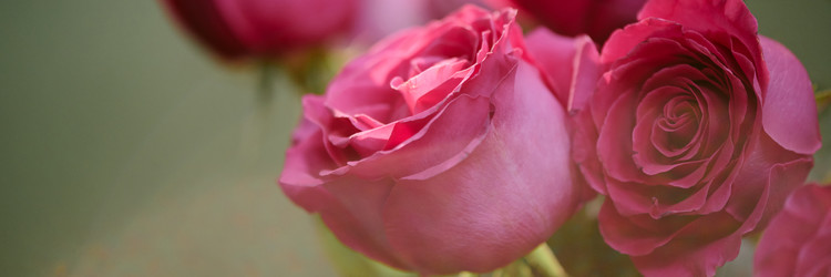 Similar image 22035907