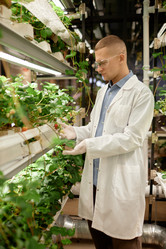 Similar image 22033720