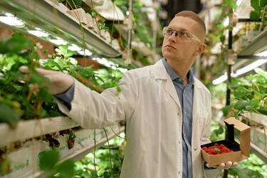 Similar image 22033774