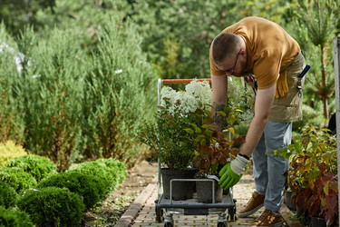 Similar image 22033038