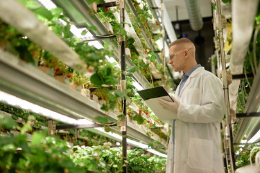 Similar image 22033754