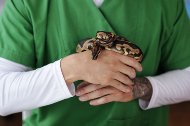 Similar image 22035024