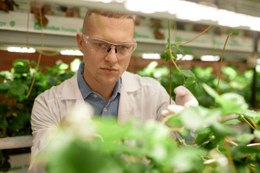 Similar image 22033775