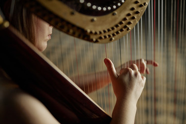 Similar image 22033548