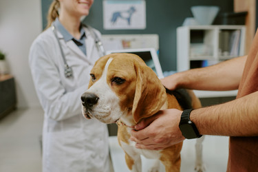 Similar image 22036227