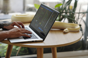 Similar image 22034975