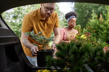 Similar image 22033003